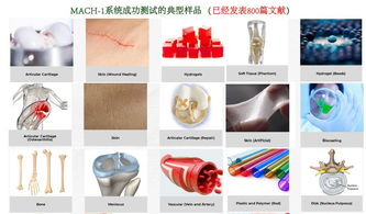 生物軟組織多尺度力學特性測試分析系統(tǒng),組織材料多尺度力學特性測試分析系統(tǒng)