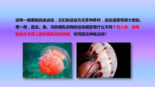 人教八年級上冊生物課件第五單元第二章第一節 動物的運動課件 24張ppt