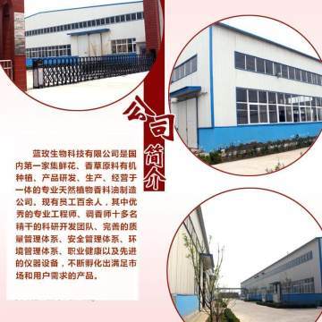 天竺葵純露 深層凈化肌膚，煥活水潤光彩——藍玫丫廠家直銷美容院裝專業解析